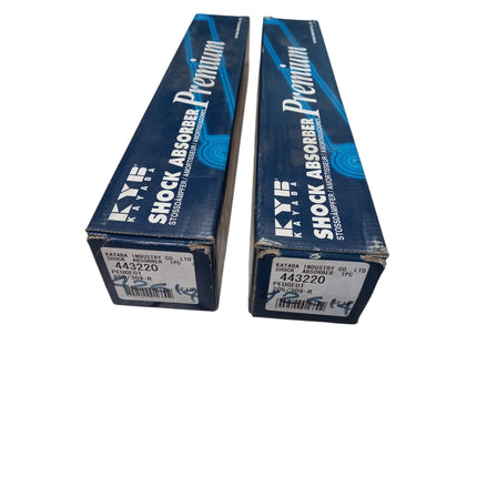 Ammortizzatori Posteriori KYB CODICE: 443220