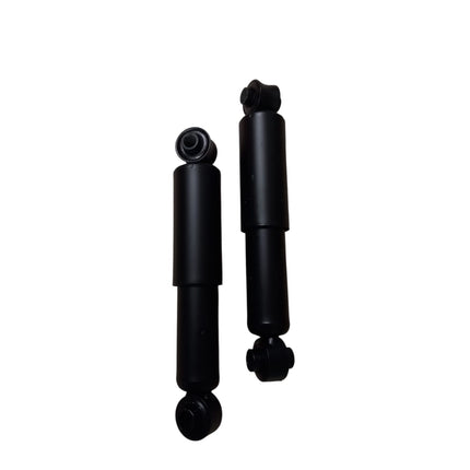 Ammortizzatori Posteriori KYB CODICE: 443220