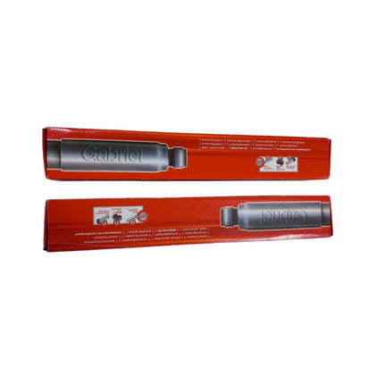 Ammortizzatori Posteriori Gabriel Codice: 69987