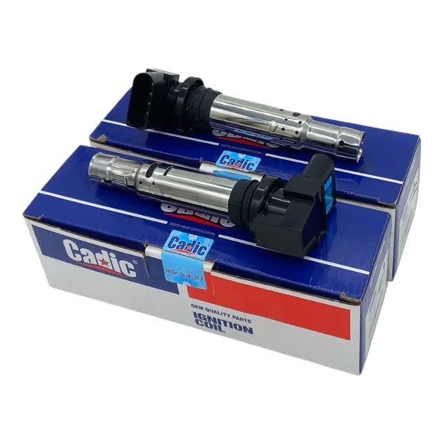 Bobina Accensione Per Audi Seat Skoda VW Marca Cadiac (2pz)