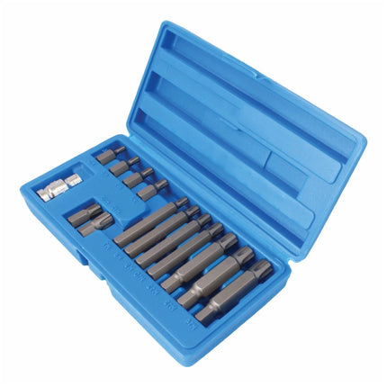 Chiave a bussola per viti con impronta RiBe esascanalata 14 Pezzi Officina Auto